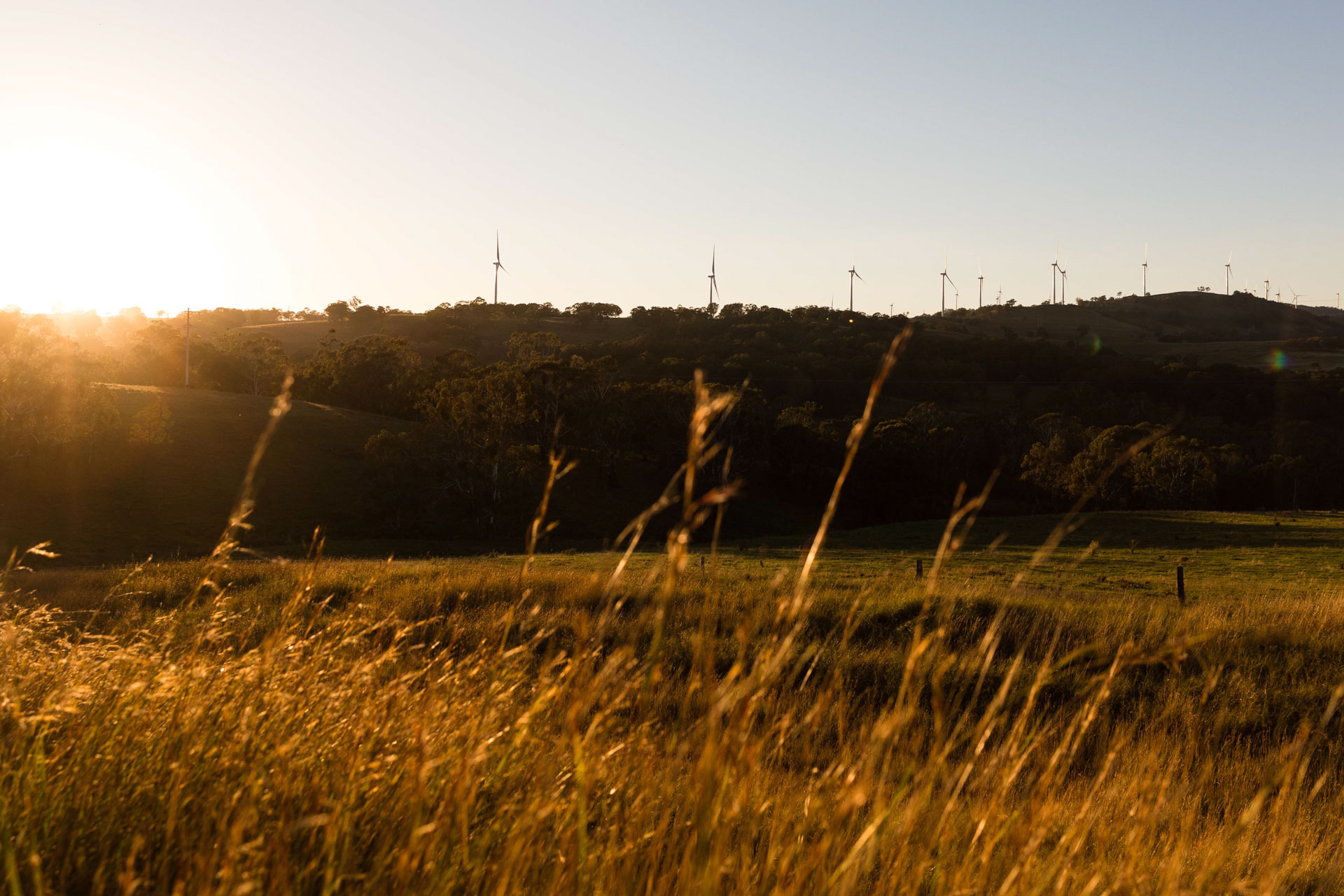 <p>Enhancing nature through renewable energy</p>